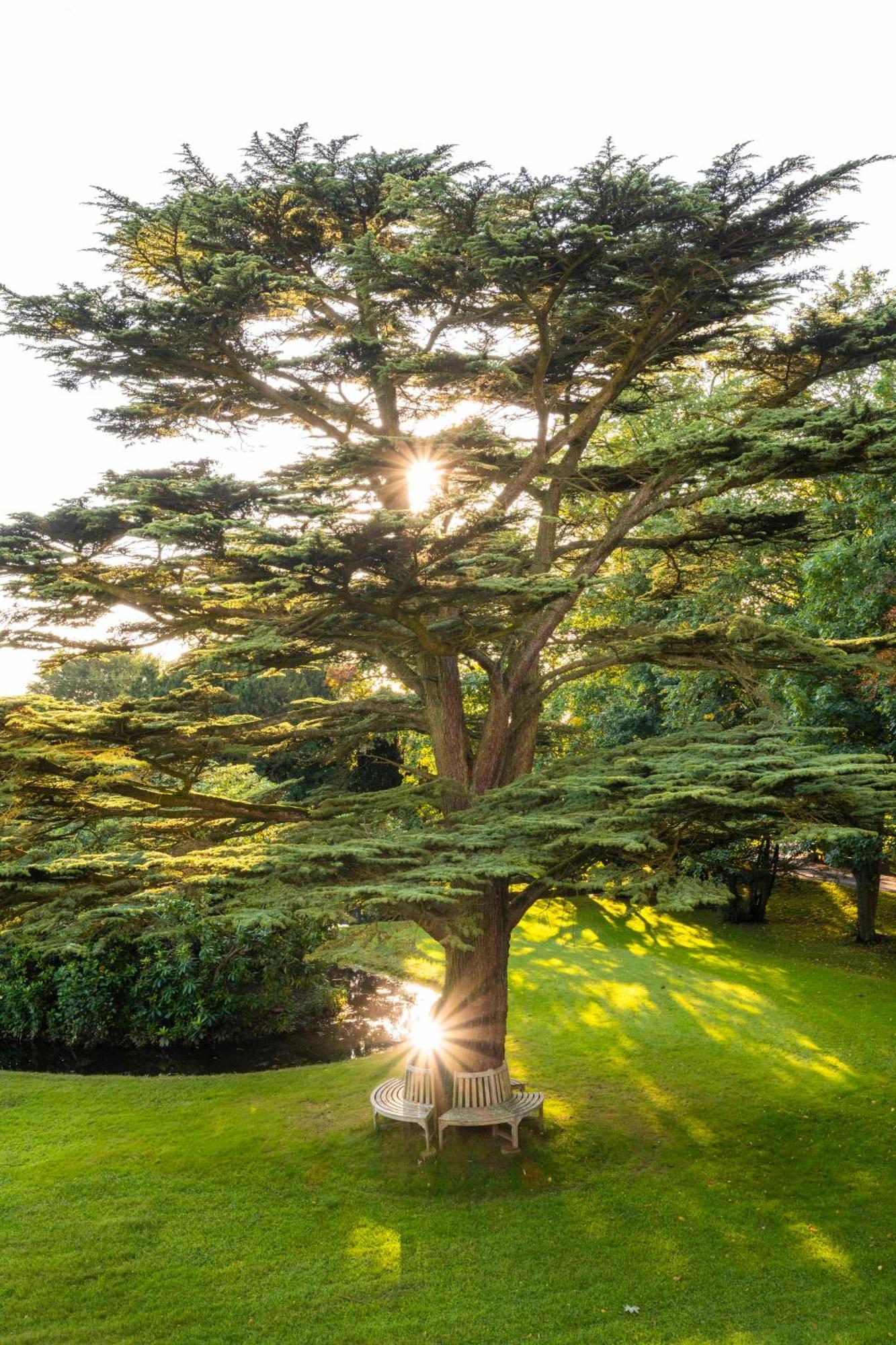 Farlam Hall Hotel & Restaurant Brampton  Dış mekan fotoğraf